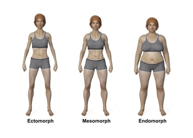 Body Type